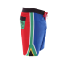 SA Flag Board Shorts Lizzard Men's