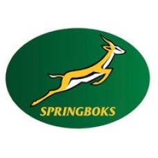 Springboks Temporary Tattoo (each)